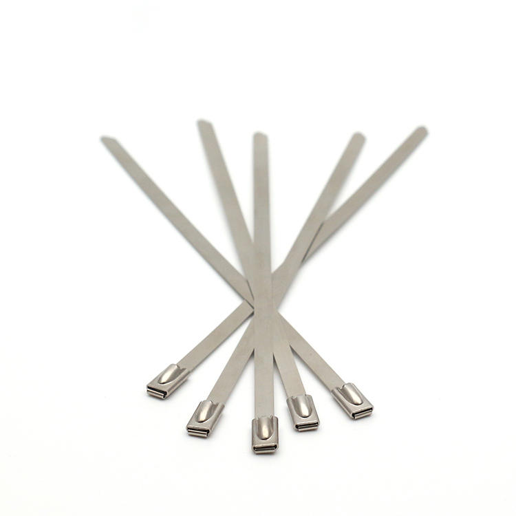 Stainless Steel Self-Loking Cable Ties